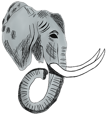 the galley logo